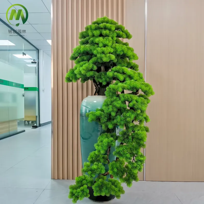 Decorative Evergreen Welcome P - Bonsai Tree Miniature Zen Garden review and price