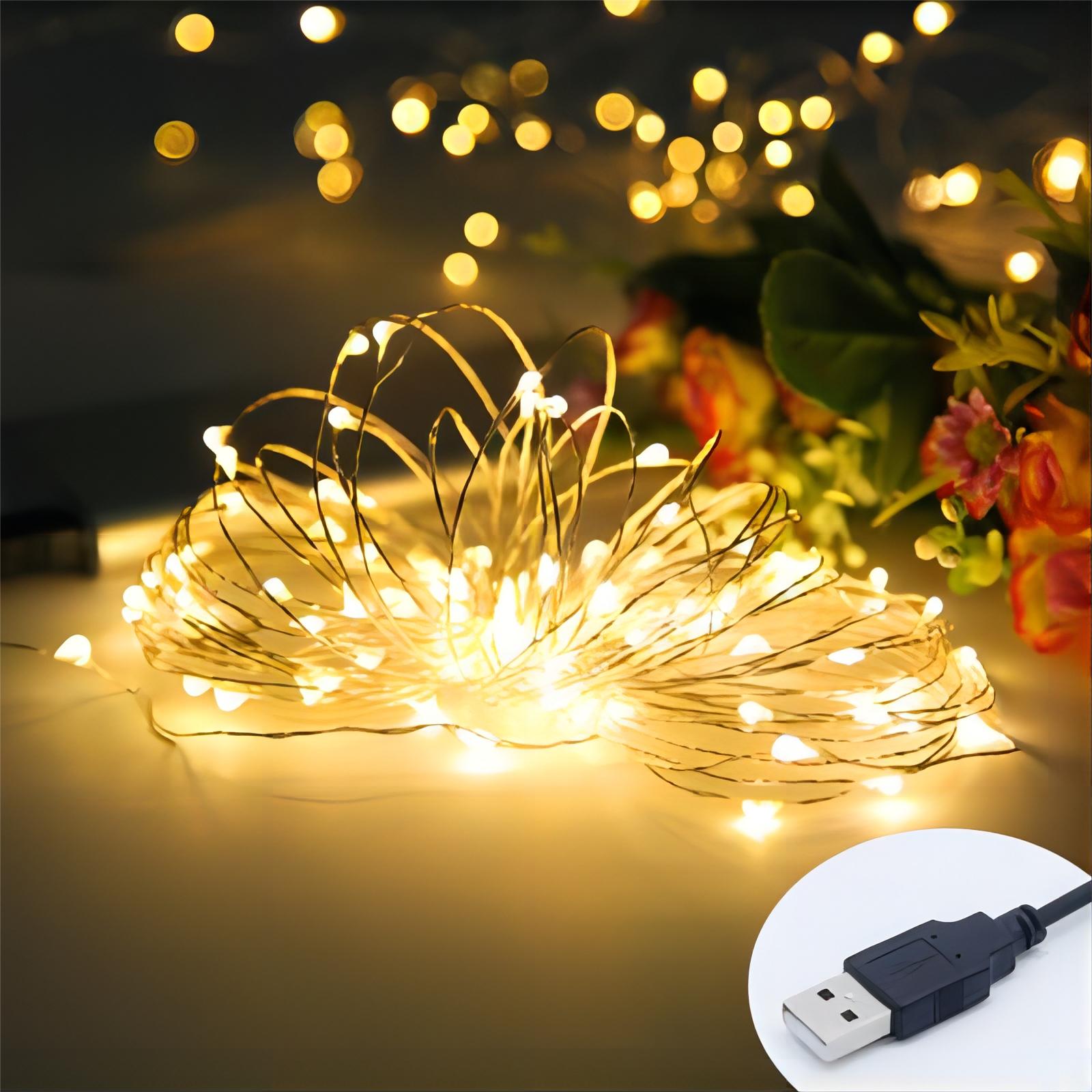 Warm White 5M 50LED Copper Wir - Copper Wire Roll review and price